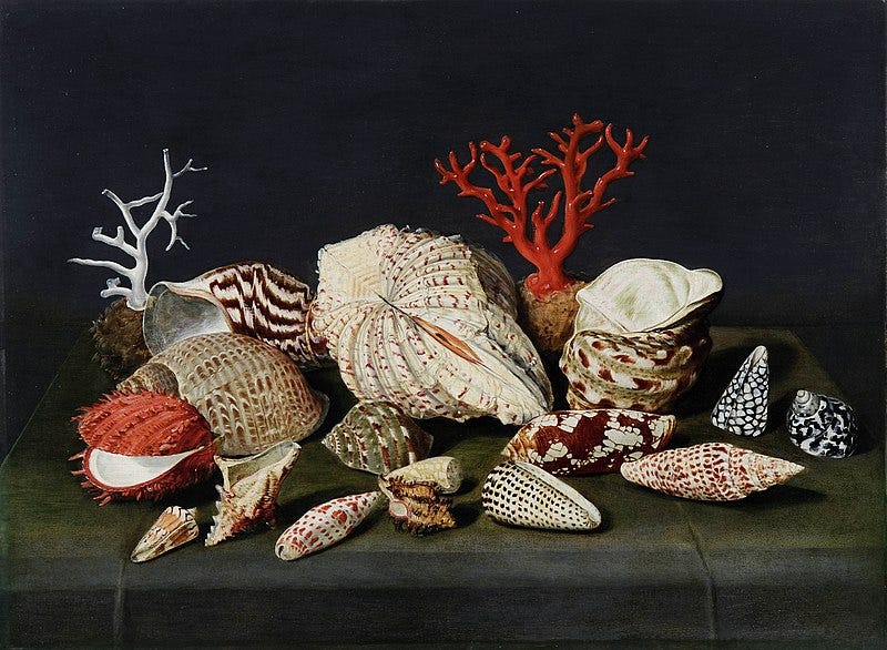 File:Jacques Linard - Still life with shells and coral - 55 linard 2799.jpg
