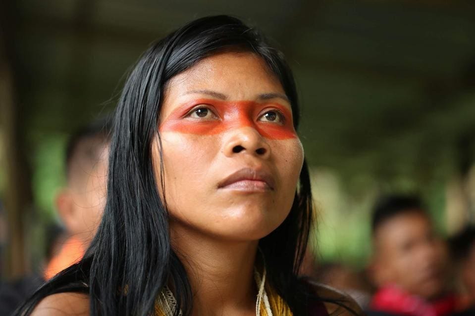 How This Indigenous Leader Beat The Oil Industry To Protect The Amazon And  What You Can Do To Help