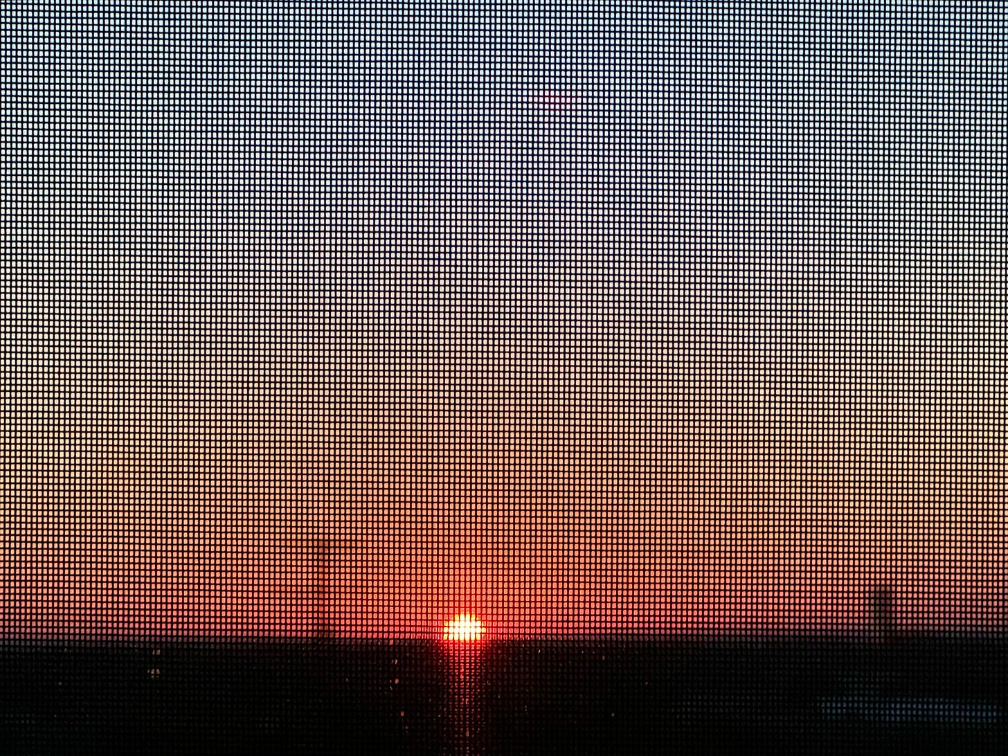 Sunrise through window screen