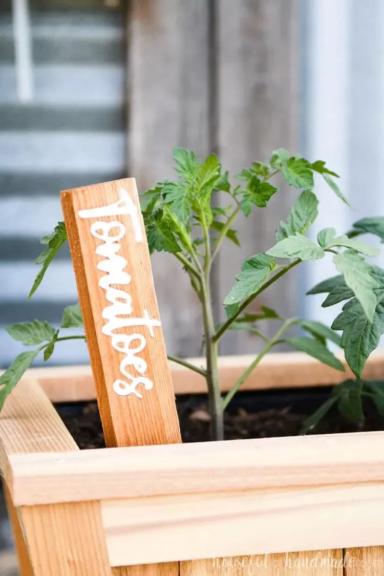 A photo of a wooden marker stick with the word "tomatoes" written on the side in white handwritten font.