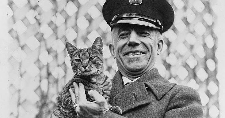 The Cuddlywumps Cat Chronicles: Lost and Found and Lost Again: The Travels  of President Calvin Coolidge's Cat