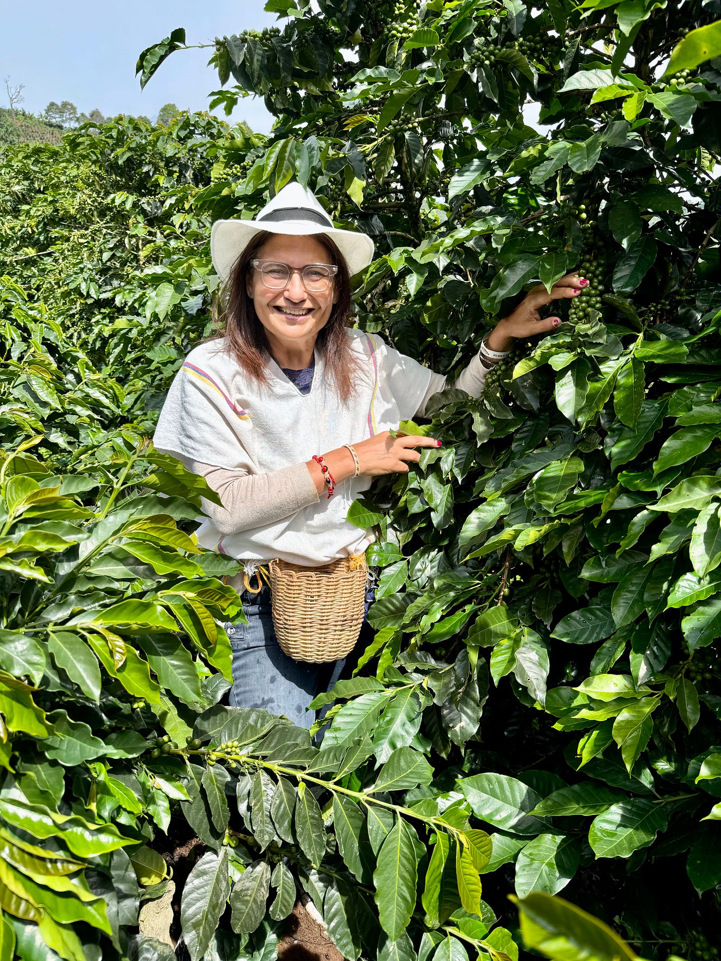 La autora vestida como las campesinas que cosechan café toca granos de café todavía verdes rodeada de matas de café. Foto archivo propio. 