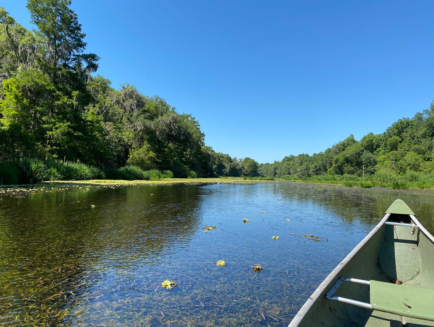 The Ichetucknee River