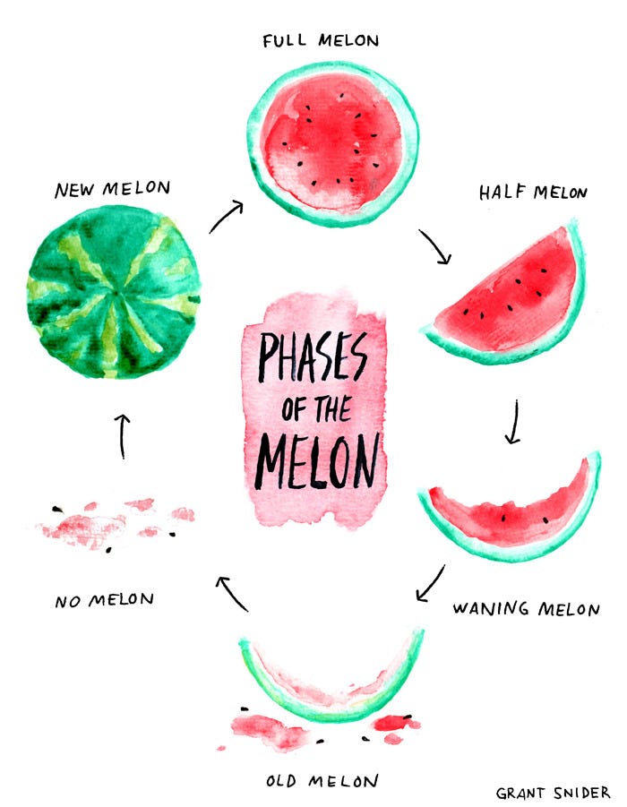 Phases of the Melon
Happy almost-Summer from Incidental Comics!