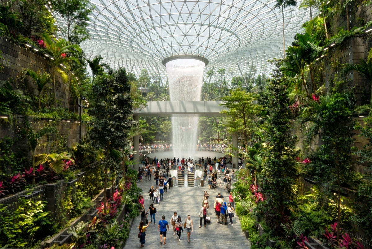 World's best airport' has indoor rainforest, slide, trampolines and rooftop  pool | The Independent