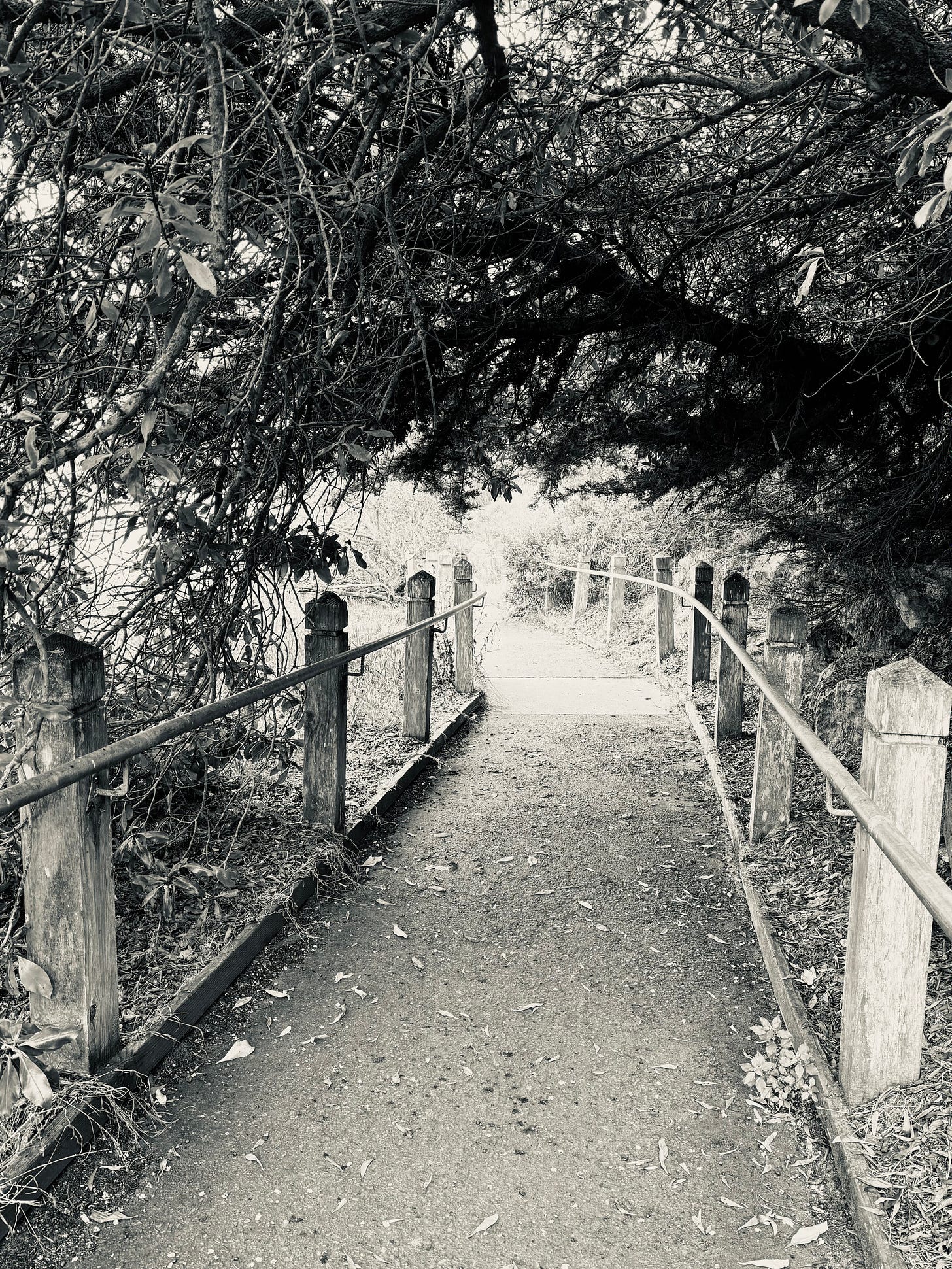 Walkway path at lake