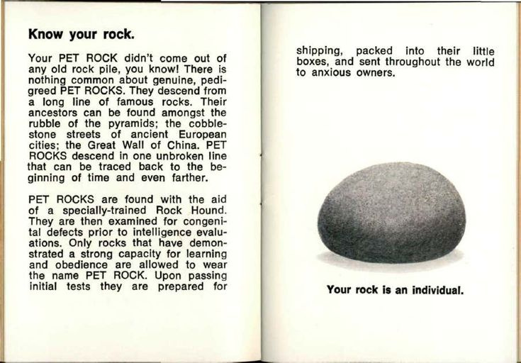 The Care and Training of Your Pet Rock Manual by Gary Dahl | Obedience  Training | Pet | Free 30-day Trial | Scribd | Pet rocks, Pets, Pet training