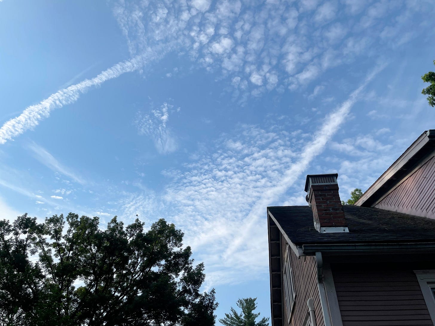 May be an image of cloud