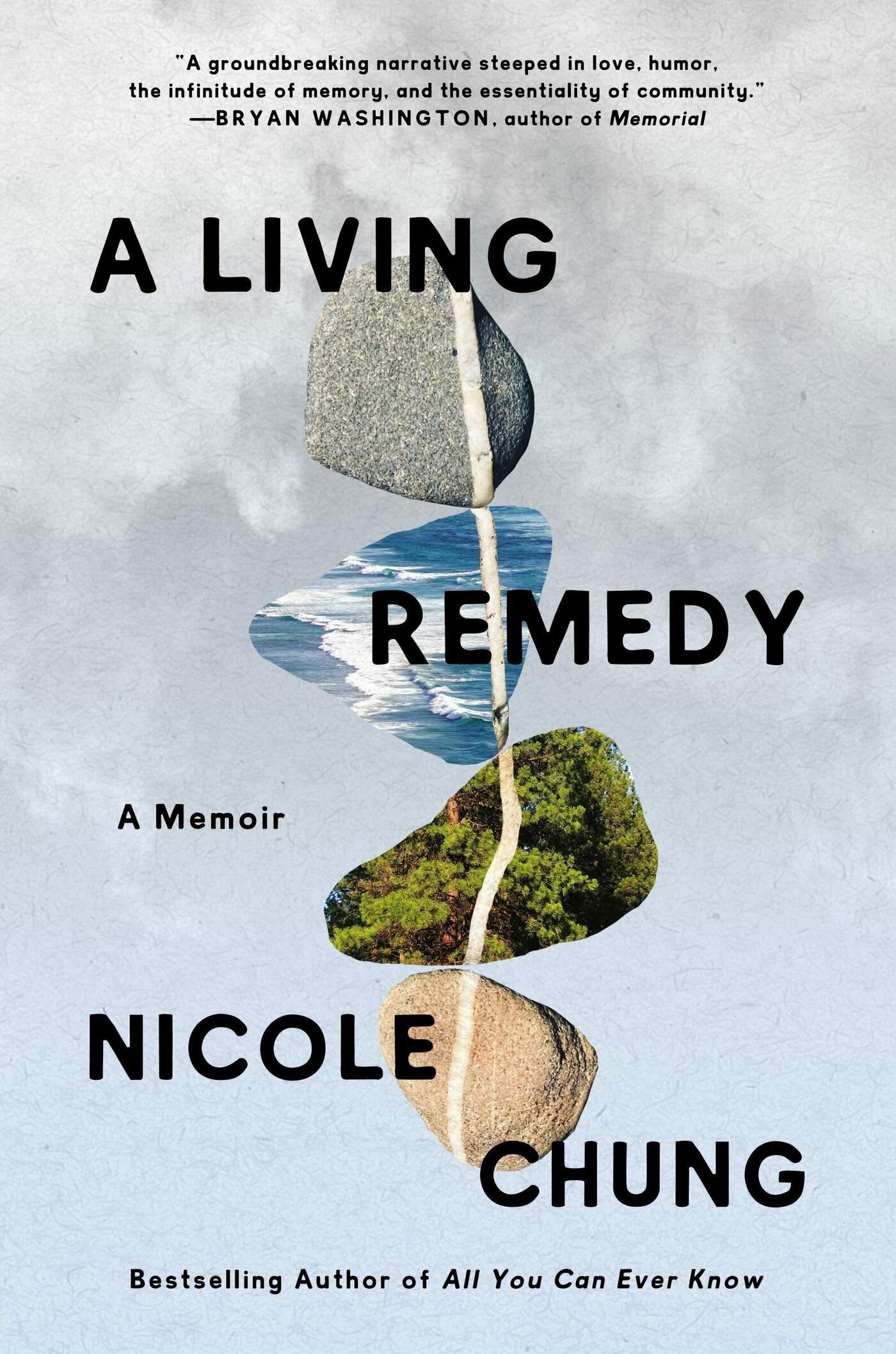Cover of A Living Remedy by Nicole Chung