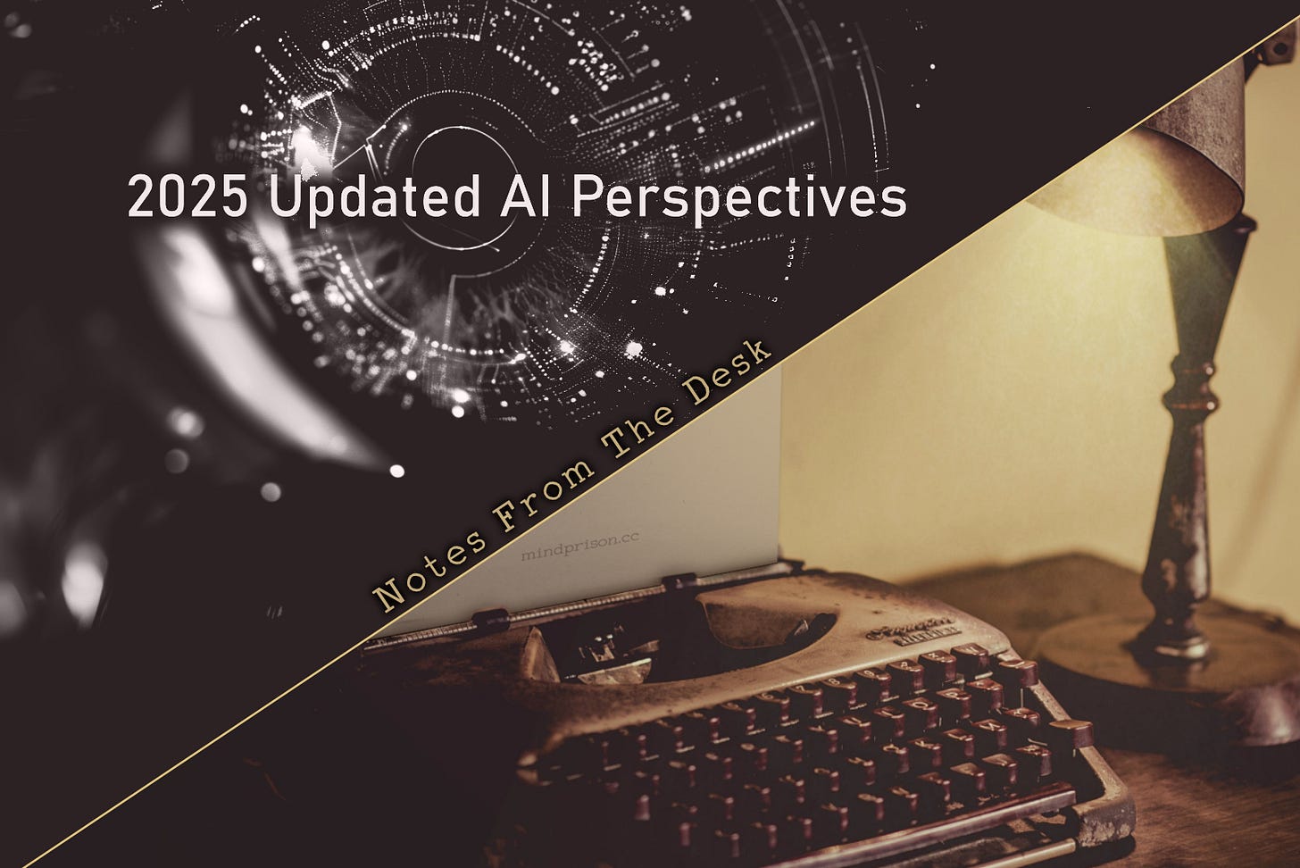 2025 Updated AI Perspectives