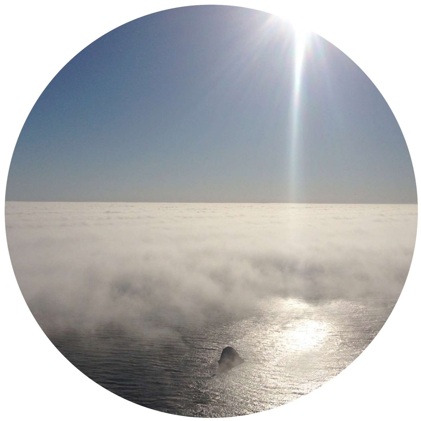 View of the ocean from the coast of central California. There is a thick layer of fog covering most of the water. The sun sparkles on the water that is uncovered by clouds. A dark rock emerges from the mist.