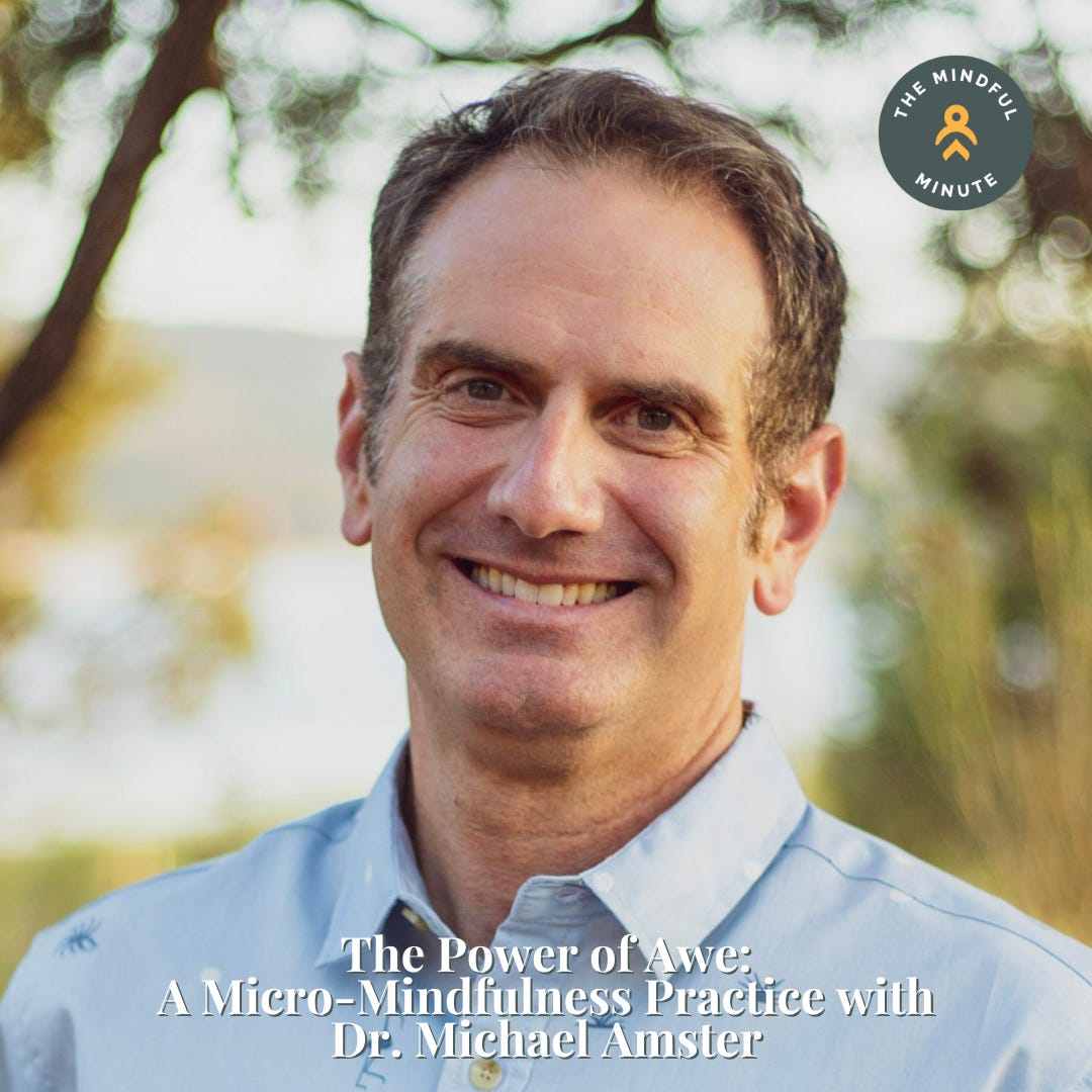 The Power of Awe: A Micro-Mindfulness Practice with Dr. Michael Amster