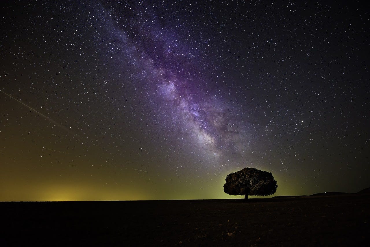 A lone tree stands silhouetted against a vast, open field under a clear night sky filled with stars. The Milky Way stretches diagonally across the sky, casting a purple and white glow that contrasts with the dark horizon. Subtle hints of green and yellow light appear near the horizon, adding depth to the landscape.
