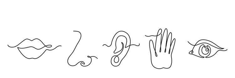 Mouth Taste Vector Images (over 2,000)