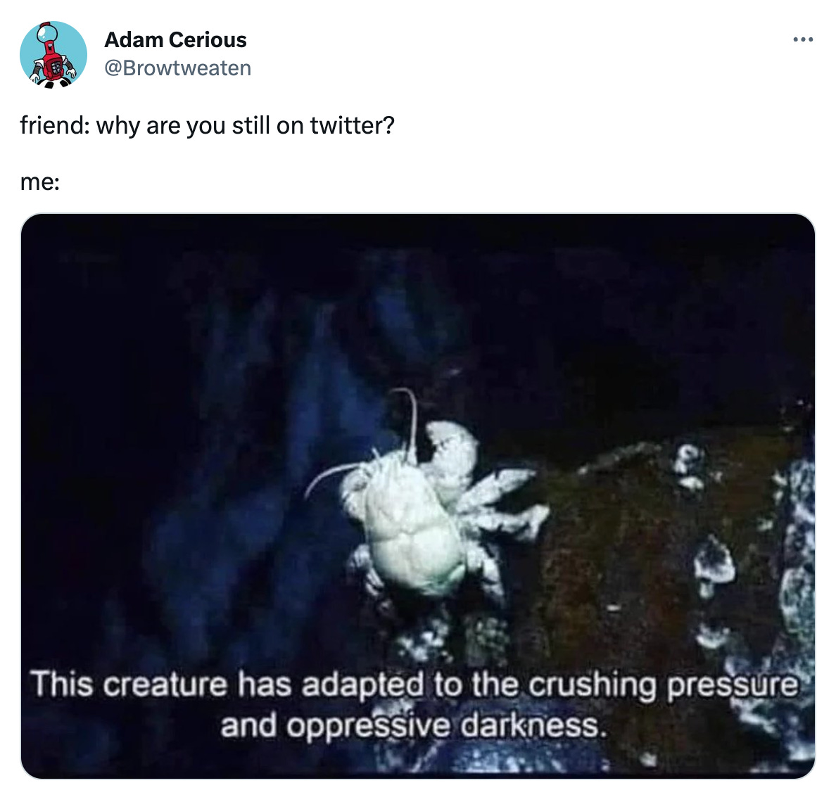 tweet from Adam Cerious (@browtweaten) that reads "friend: why are you still on twitter? me: " and has an image of a white crab in the depths of the ocean that is captioned "This creature has adapted to the crushing pressure and oppressive darkness."