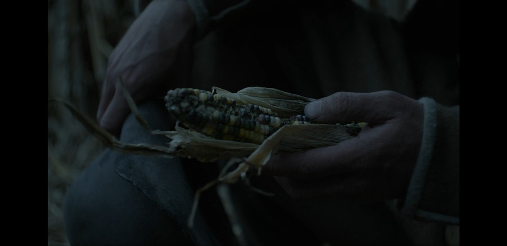 Hidden Movie Details on X: "Though the hallucinogenic fungus Ergot doesn't  traditionally grow on corn, director Robert Eggers intended to depict the  failing corn crops as growing Ergot in The Witch (2015).