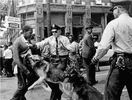 Police Dogs and Anti-Black Violence - AAIHS