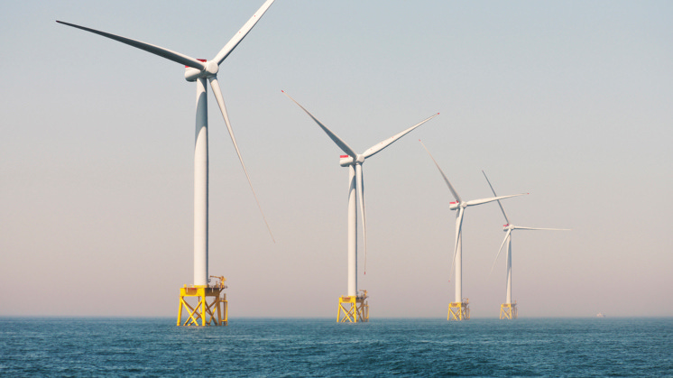 What is offshore wind energy - Iberdrola