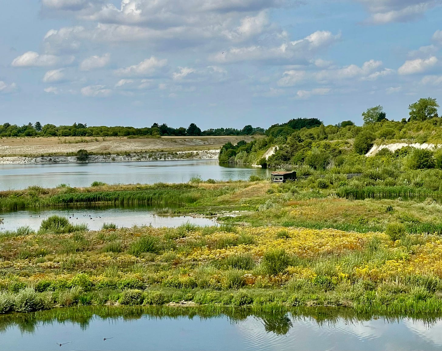 The view west towards the octagon bird hide