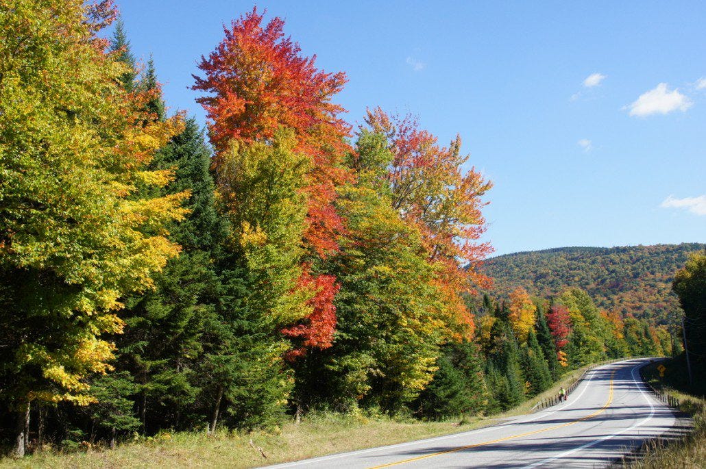 Chelsea crushes another hill with the fall colors cheering her on.