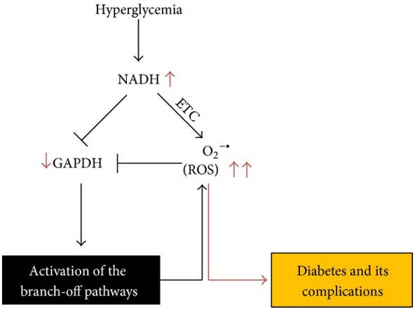 hyperglycemia