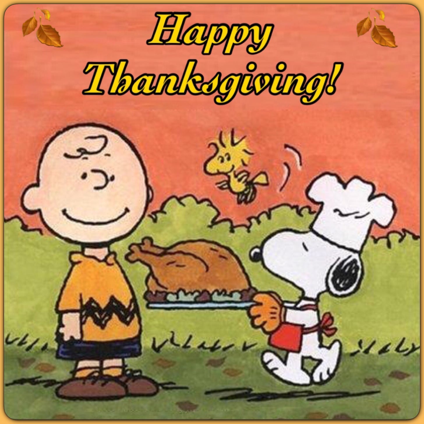 "A Charlie Brown Thanksgiving" ~ Charles M Schultz. | Charlie brown ...