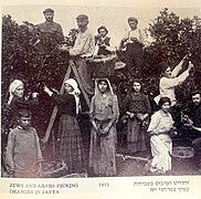 File:Jews and arabs picking oranges in jaffa 1915.jpg