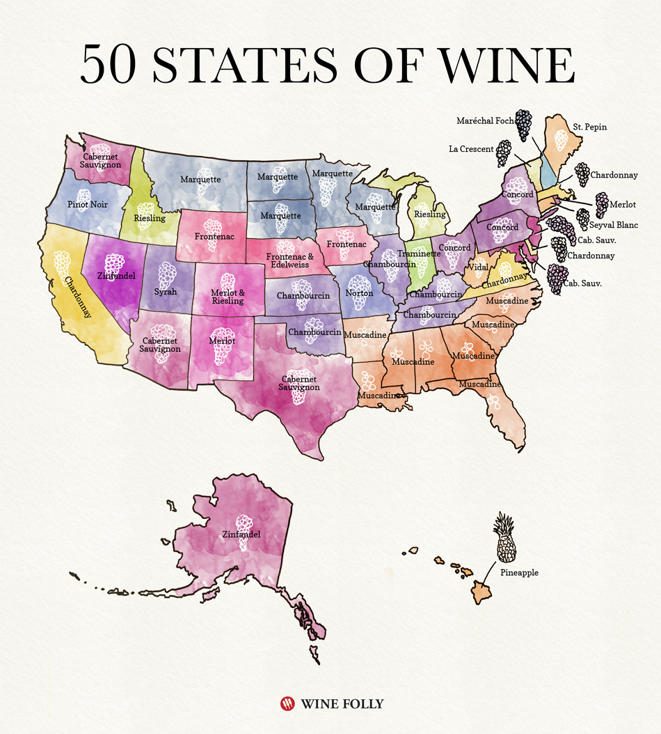 50 States of American Wine Map by Wine Folly