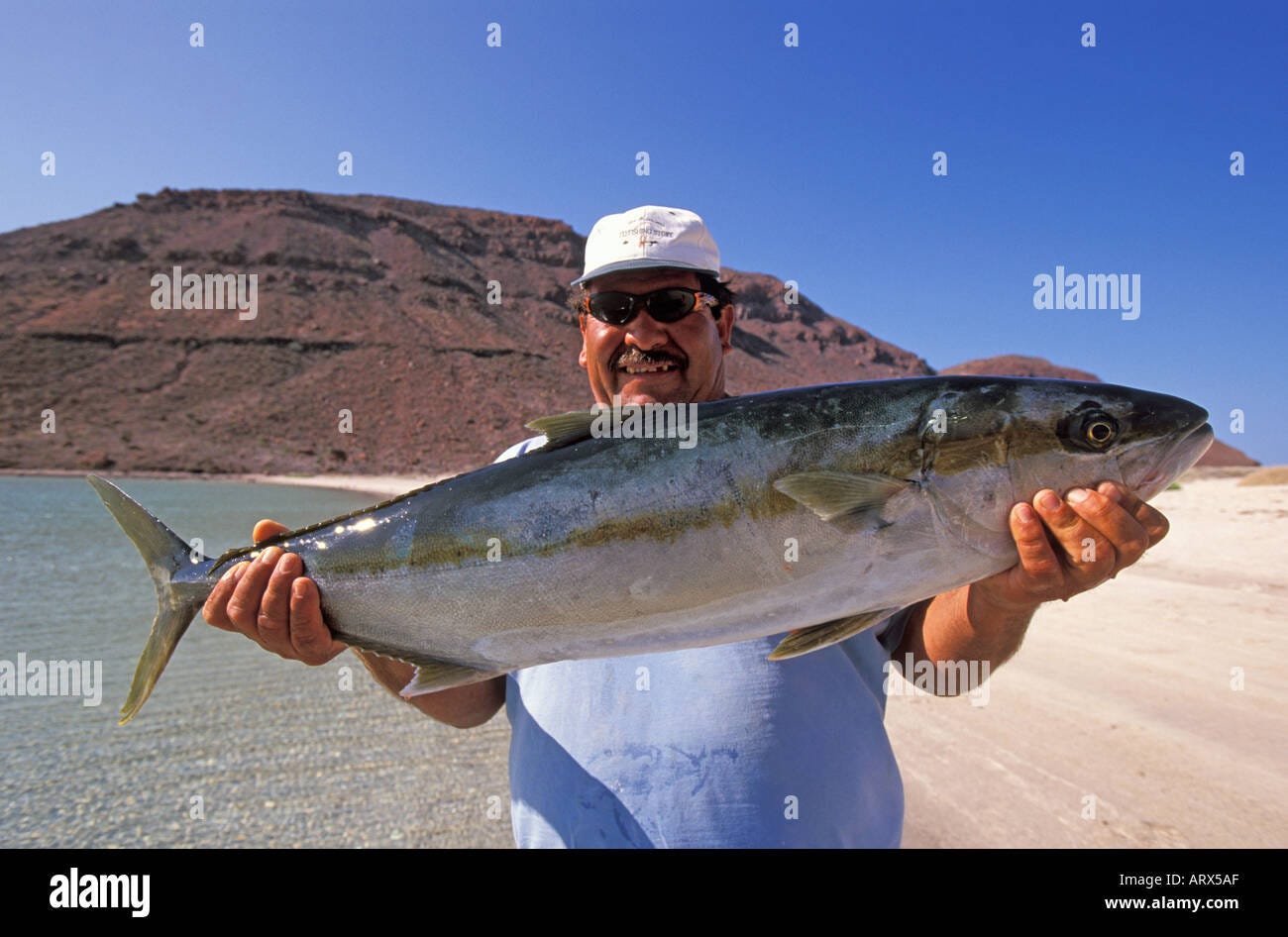 MEXICO Baja Sea of Cortes Mexican Fisherman Holding Up Yellow Fin Tuna  Stock Photo - Alamy