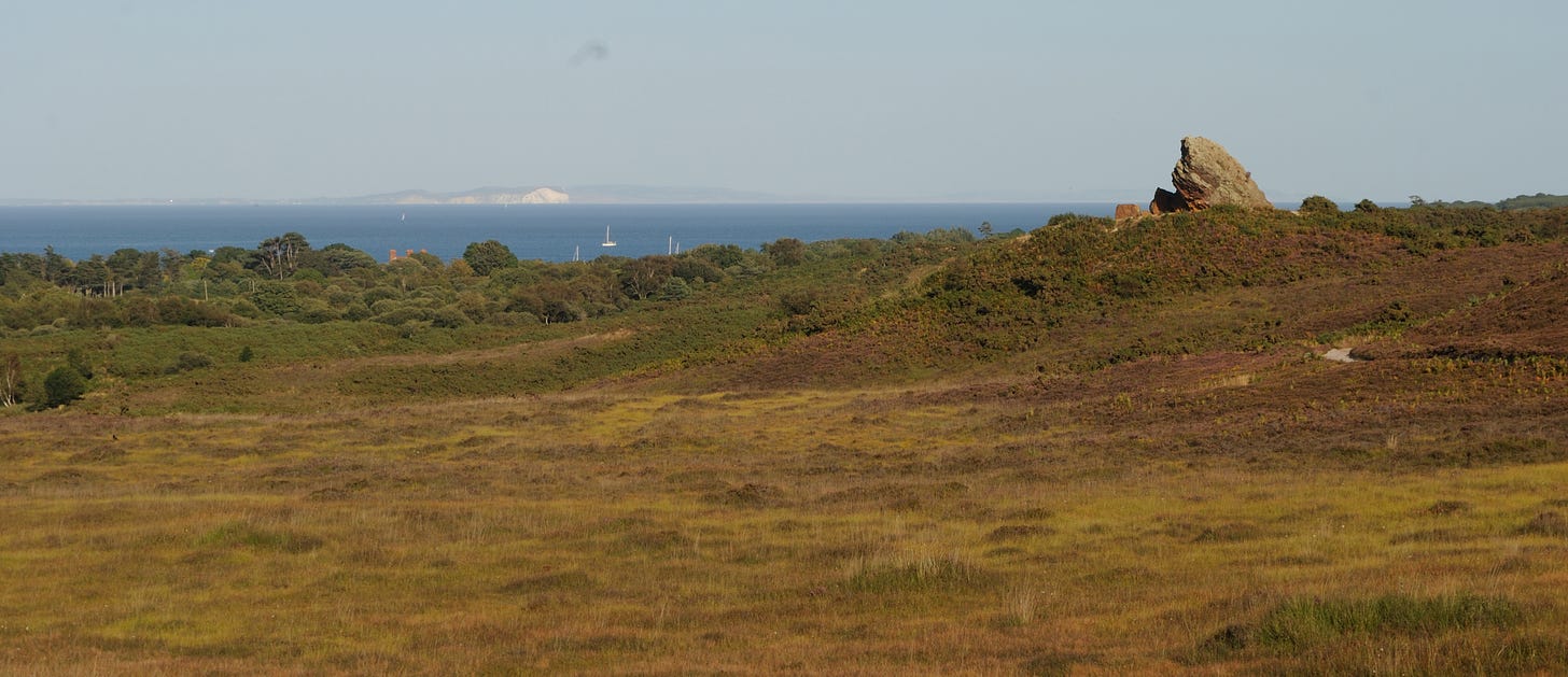 Studland Heath and the Agglestone