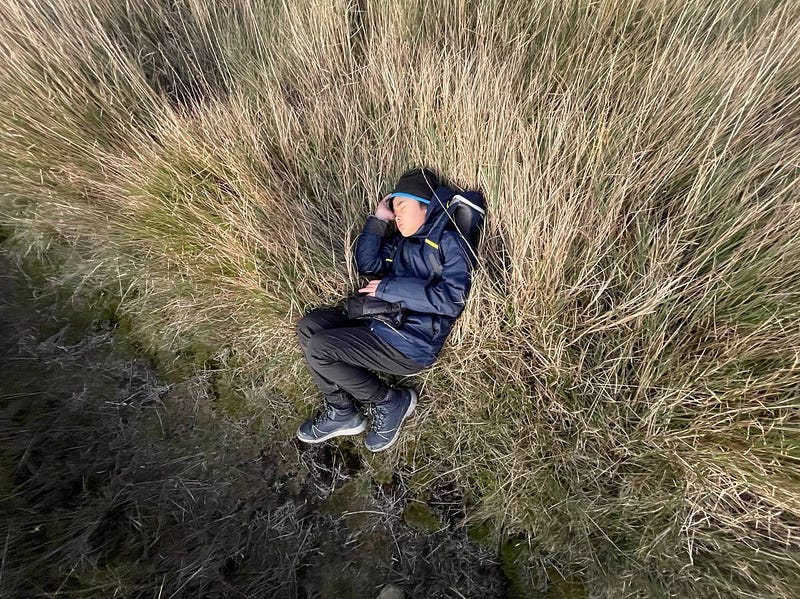 A little boy sleeping on the grassy trail