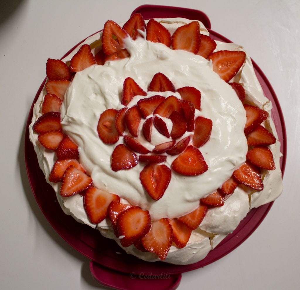 Pavlova-6