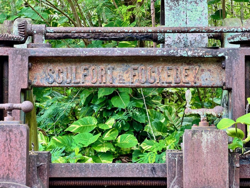 Sculfort et Fockedey Sculfort et Fockedey