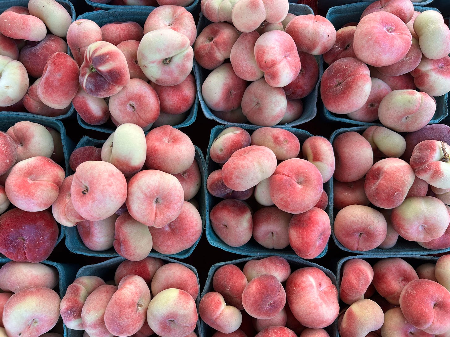 overhead view of flat donut style peaches in boxes - the peaches are pink and yellow and orange