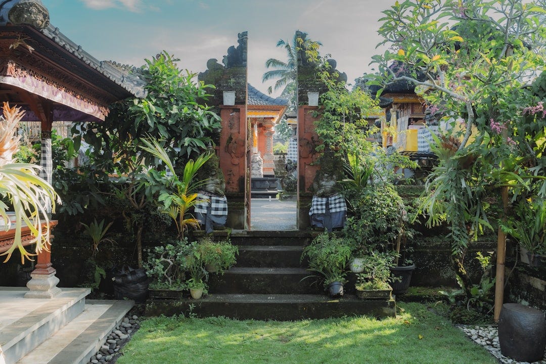 a garden with a lot of trees and plants a garden with a lot of trees and plants