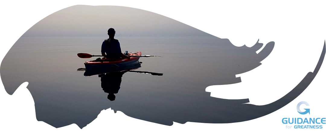 photo of man on a calm lake in a kayak sitting still in a stylized brushstroke frame.