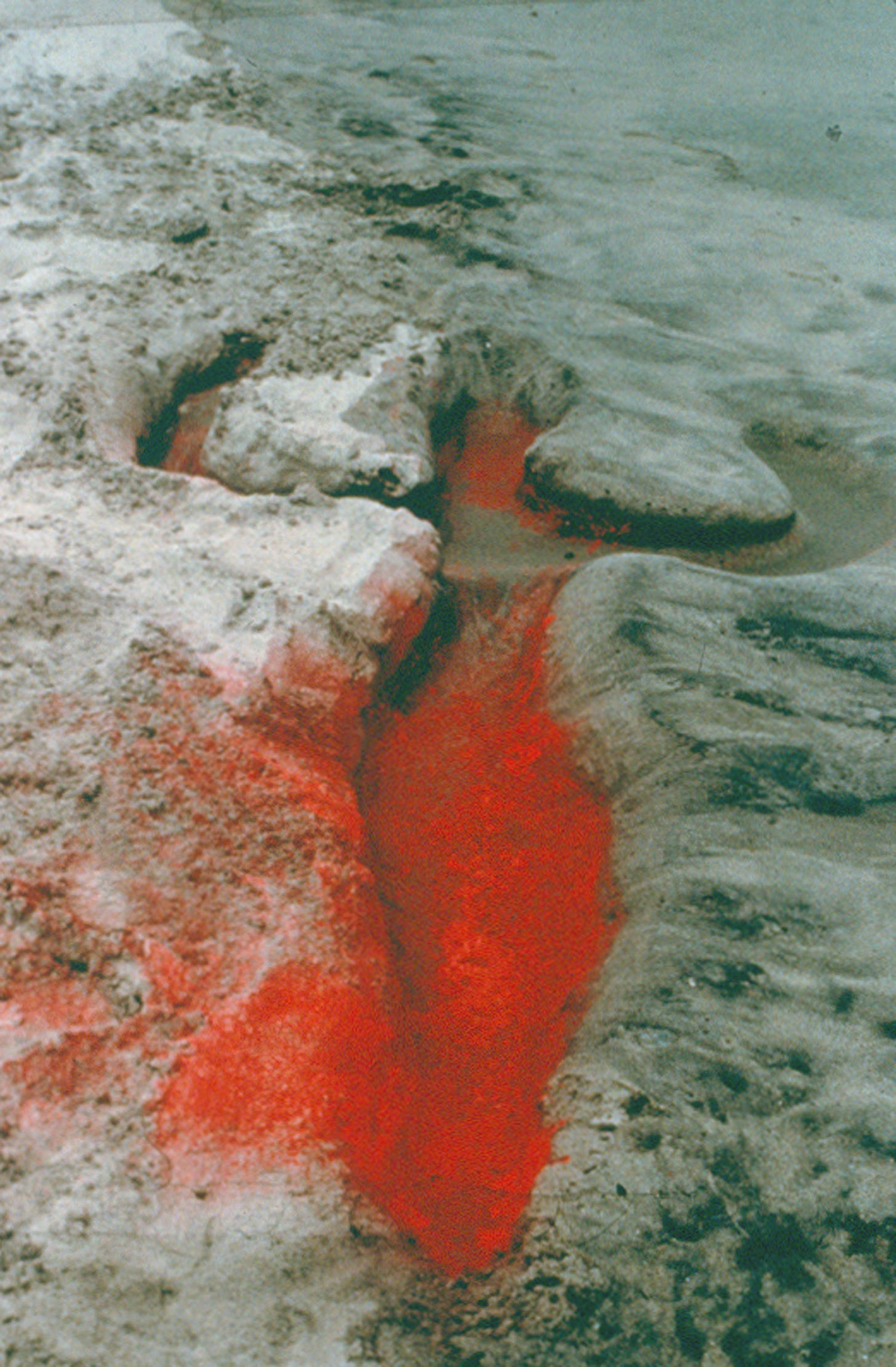 Current Feature: Ana Mendieta — Musée Magazine