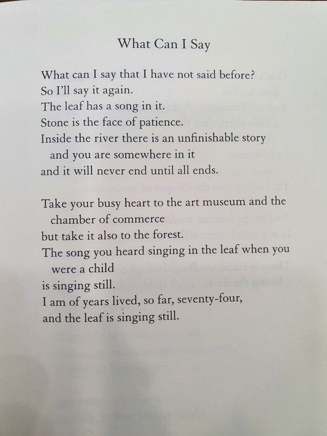 POEM] What Can I Say by Mary Oliver : r/Poetry