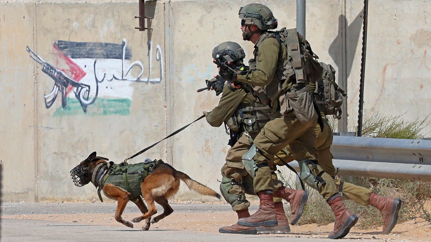 Israel Relies on Combat Dogs in Gaza - The New York Times