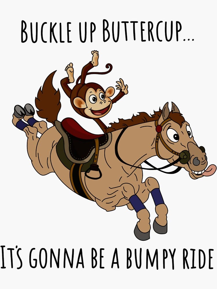 "Buckle up Buttercup..." Sticker for Sale by toristuff | Redbubble