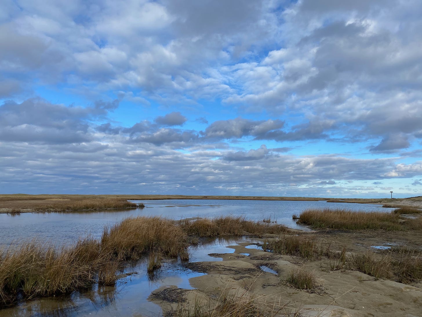 A salt marsh pond surrounded by tufts of beach grass and sand dunes, under a wide sky full of silver and purple clouds.