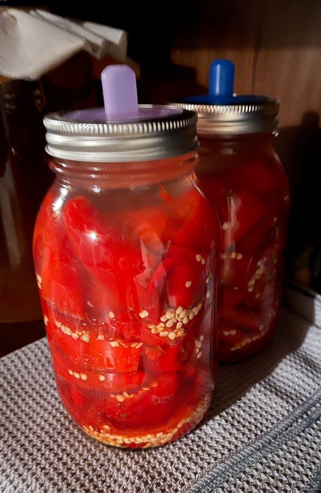 peppers fermenting in a jar