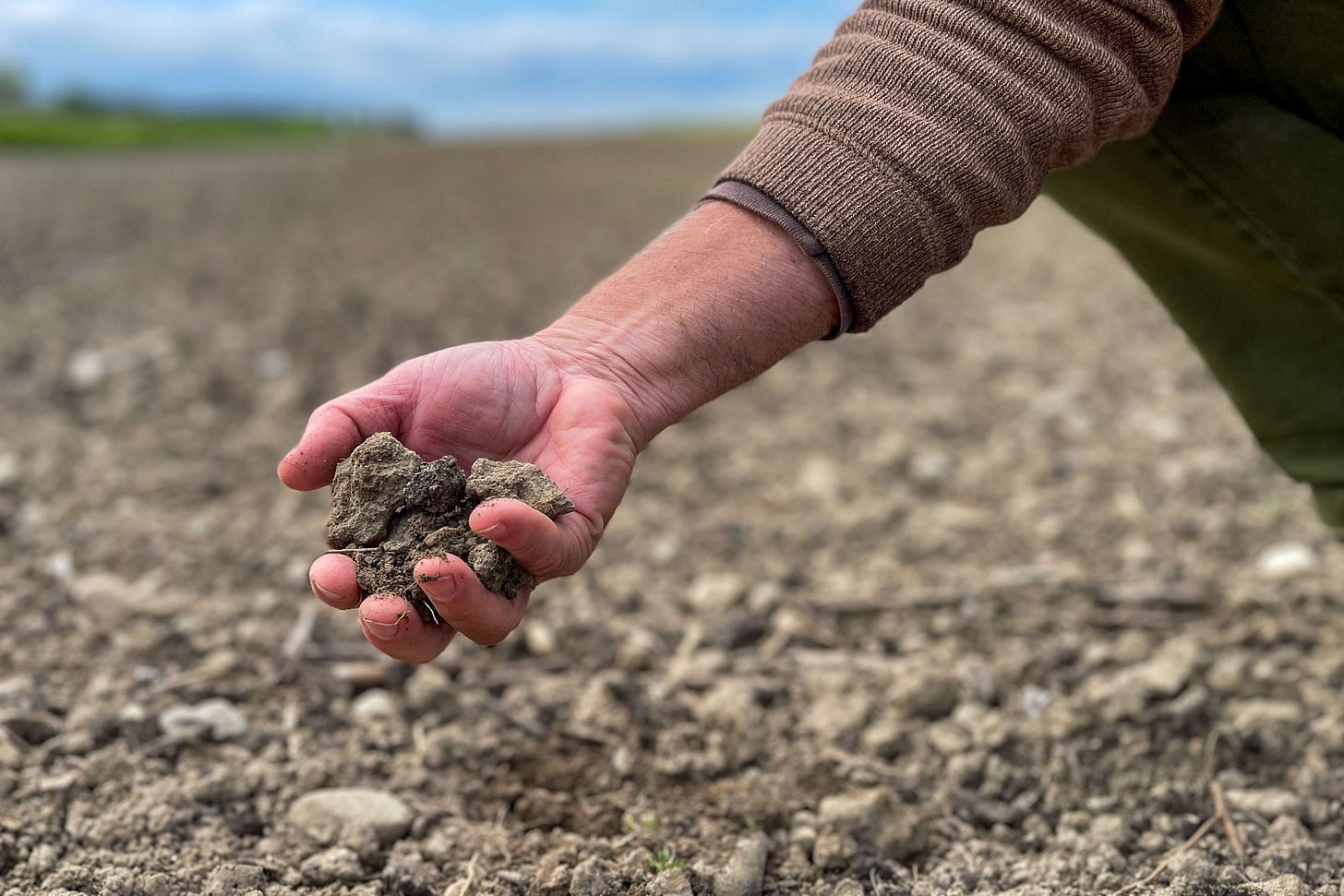 Die Hand eines Landwirts greift in den trockenen Boden eines Ackers und hält mehrere Erdbrocken. Der Acker im Hintergrund erstreckt sich weit und ist von einer unscharfen Landschaft mit bewölktem Himmel umgeben. Die Szene vermittelt den Eindruck von Bodenbeschaffenheit und landwirtschaftlicher Arbeit. Die Hand eines Landwirts greift in den trockenen Boden eines Ackers und hält mehrere Erdbrocken. Der Acker im Hintergrund erstreckt sich weit und ist von einer unscharfen Landschaft mit bewölktem Himmel umgeben. Die Szene vermittelt den Eindruck von Bodenbeschaffenheit und landwirtschaftlicher Arbeit.