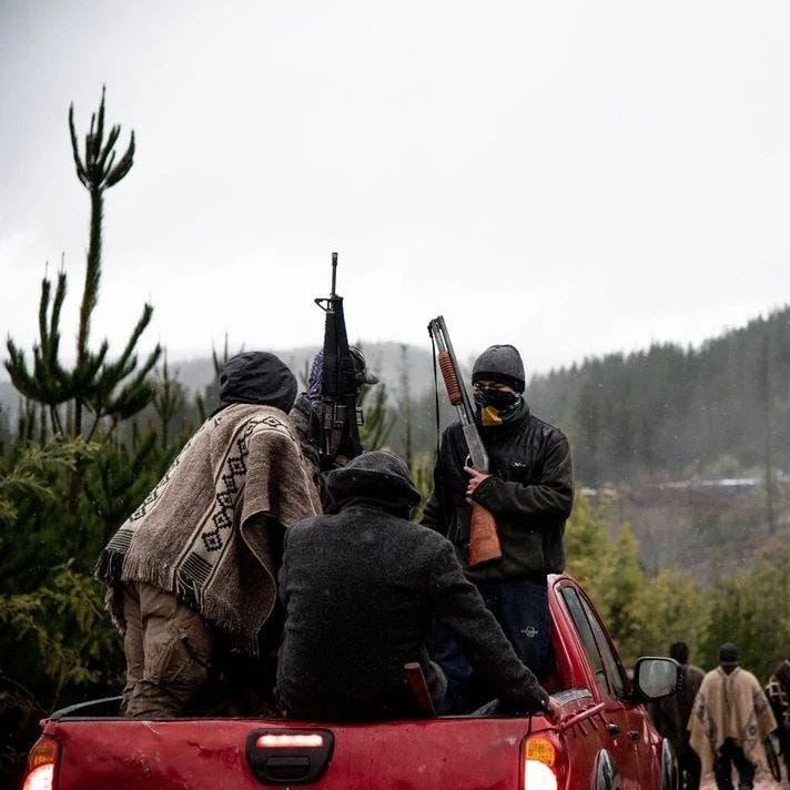 Coordinadora Arauco Malleco anuncia la toma de siete fundos pertenecientes  a empresas forestales en Angol - La Tercera