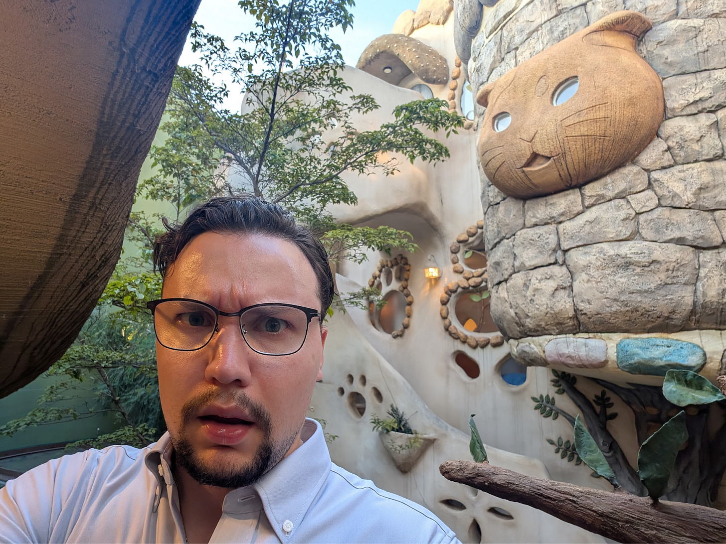 A volte diventa un po' troppo strano, come nel caso di questo complesso bar/intrattenimento a tema gatti.