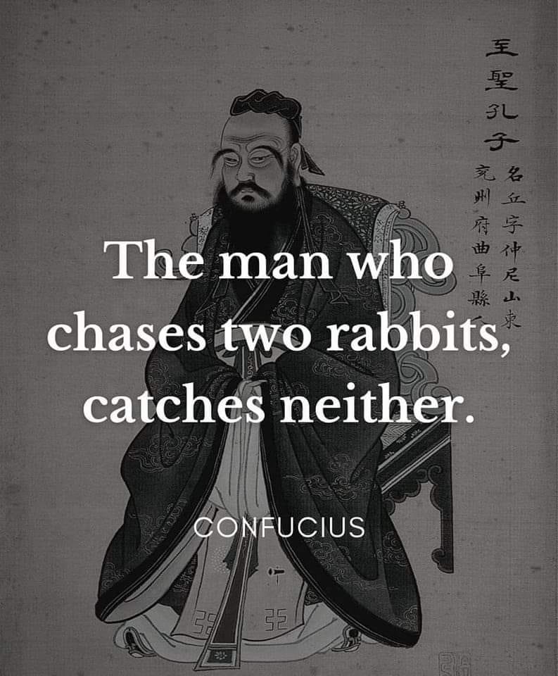 HOW MANY RABBITS 🐇 ARE YOU CHASING? – SECRET 2 AN AMAZING LIFE