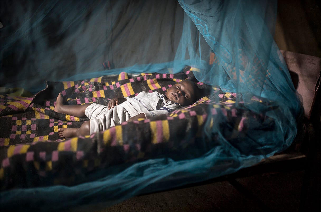 A child sleeping beneath a mosquito net.