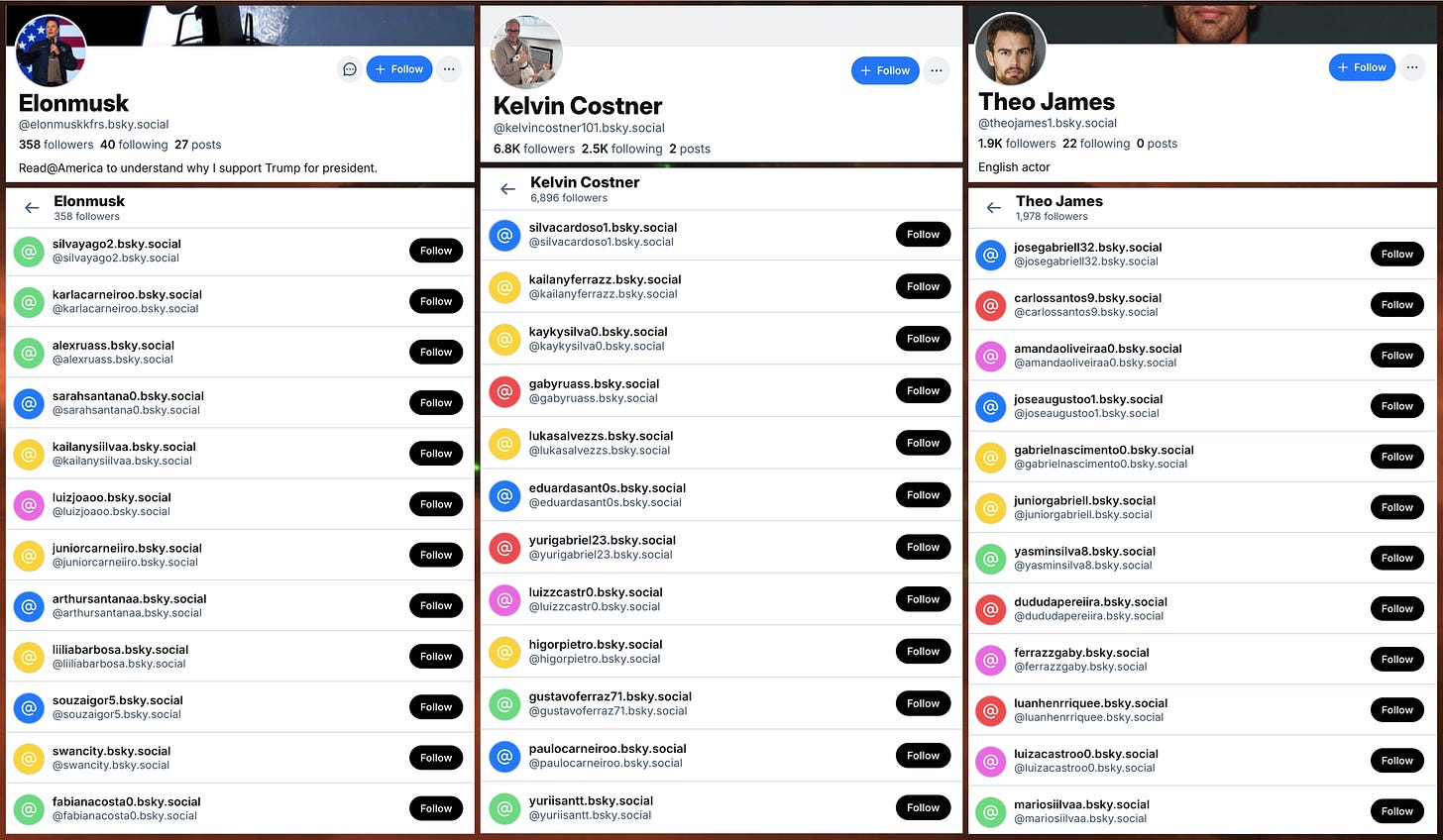 screenshots of the profiles of three fake Bluesky accounts, @elonmuskkfrs.bsky.social, @kelvincostner101.bsky.social, and @theojames1.bsky.social, along with examples of their followers