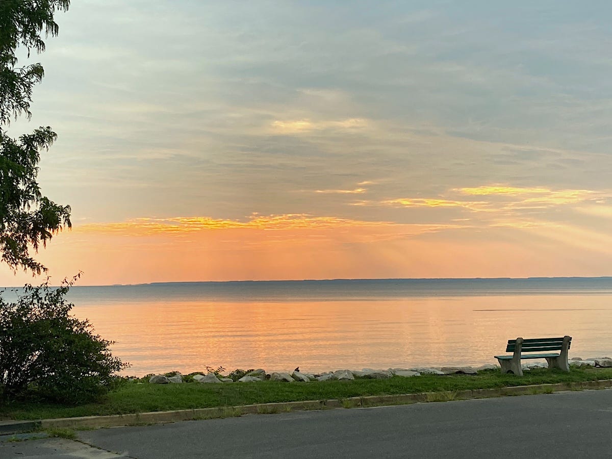 An expansive view of the Chesapeake Bay at sunrise. Rays of sunlight are glowing yellow, orange, and pink, breaking through grey clouds overhead and reflecting on blue waters with calm waves. The image is framed by lush green tree brances at left and by a quiet road in the foreground, with a rocky shore and park bench along the waterfront.