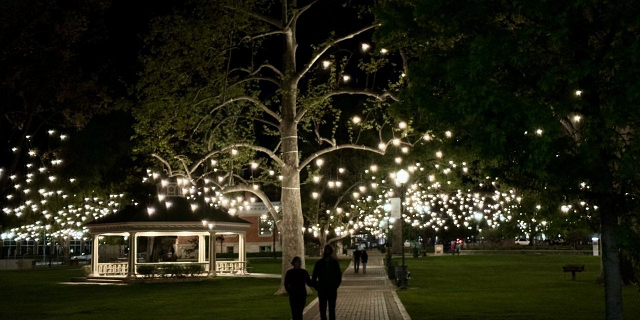 Year-round lights illuminate Downtown City Park • Paso Robles Press